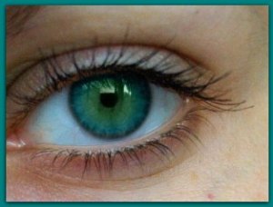 Surprising Facts About Your Eyes