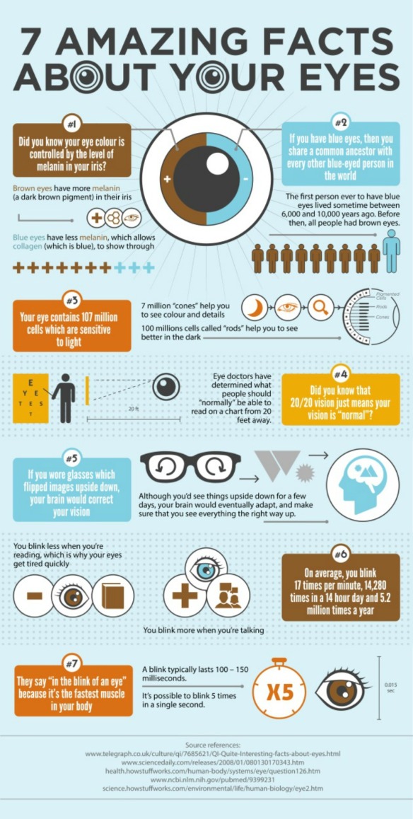 Amazing facts about our eyes